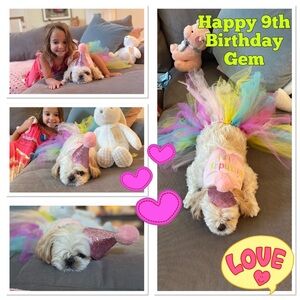 Gem turned 9 🤩🥳🎉🎊